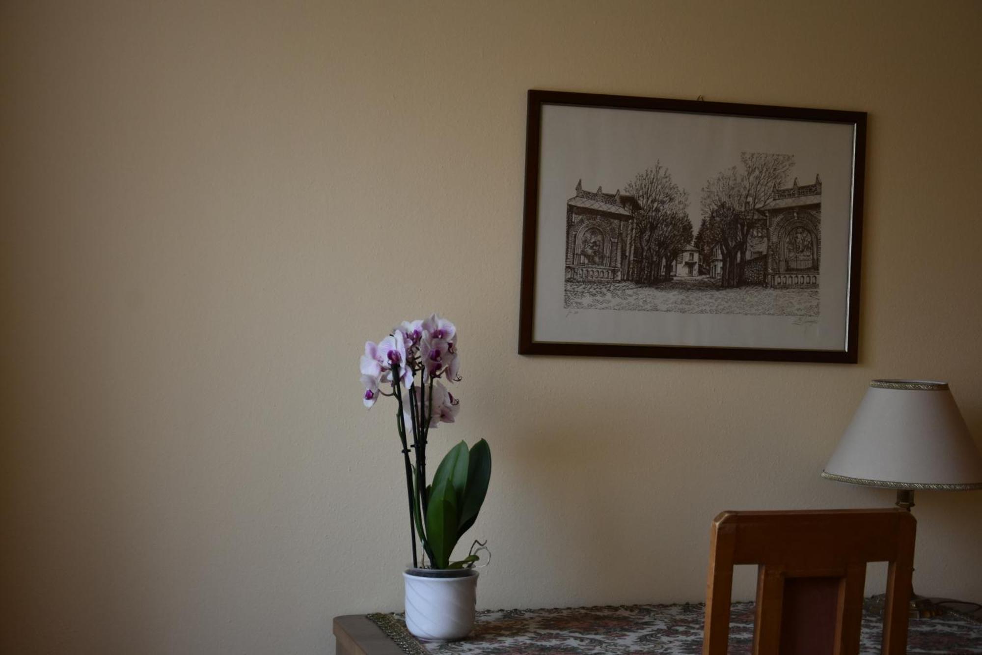 מלון לוגאנו Casa Santa Birgitta מראה חיצוני תמונה